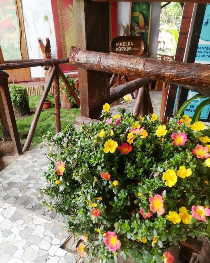 Madera Labrada Lodge Ecologico Tarapoto Eksteriør billede